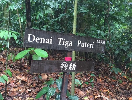 DTP-Trail logo