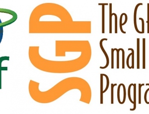 GEF Small Grants Programme