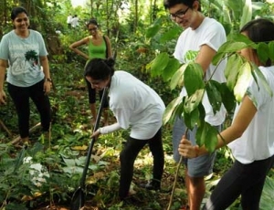 Students hard at work planting the seedlings