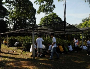 Students removing weeds from sandbags at the tree nursery