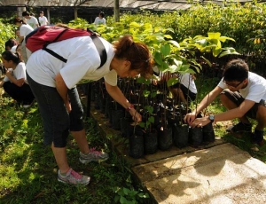 Students removing weeds from sandbags at the tree nursery