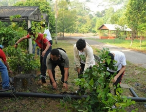 Works start at the tree nursery