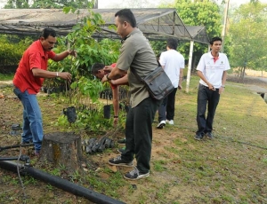 Forestry Department staff distributing seedlings to students