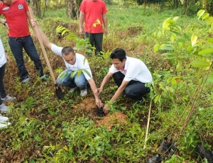 Planting the seedlings at the northern boundary of KDCF