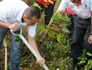 The reforested area will be part of the future northern gateway to KDCF