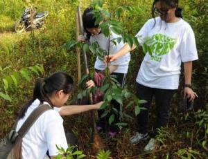 The reforested area will also improve connectivity between KDCF and the small Sungai Buloh Forest Reserve at the Forestry Training Centre