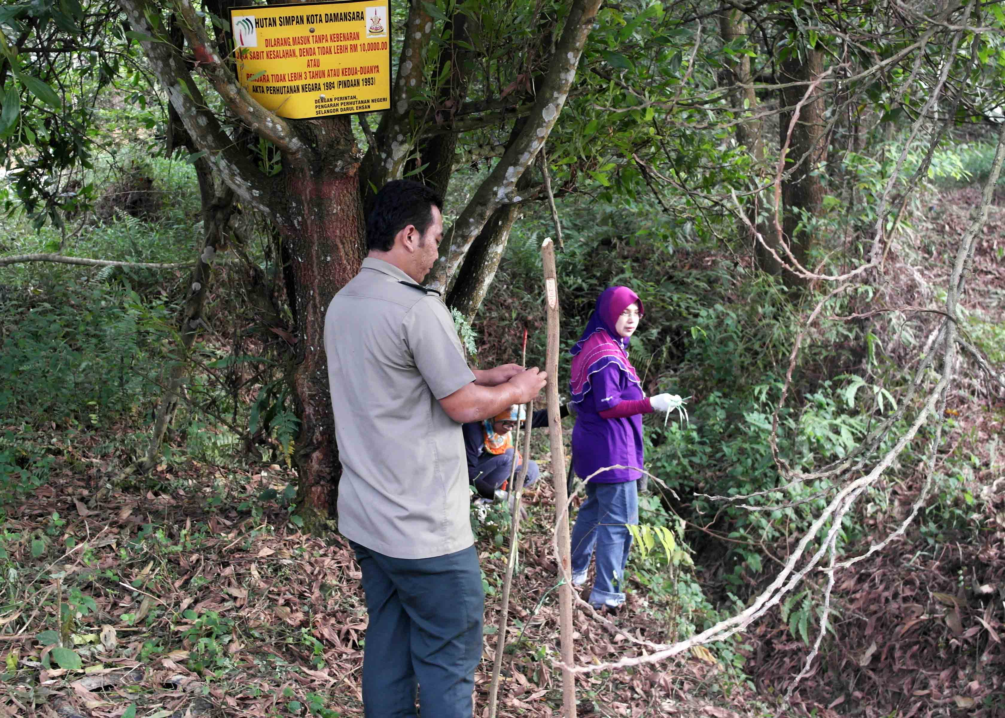 Selangor Forestry Staff helping GE volunteers